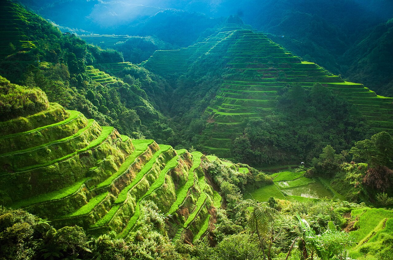 Green rice terraces surrounded by forested mountains in Banaue, Philippines
